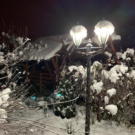 Міні Готель Вілла Вікторія 베레호베 외부 사진